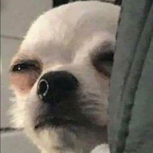 Meet your Posher, Homero